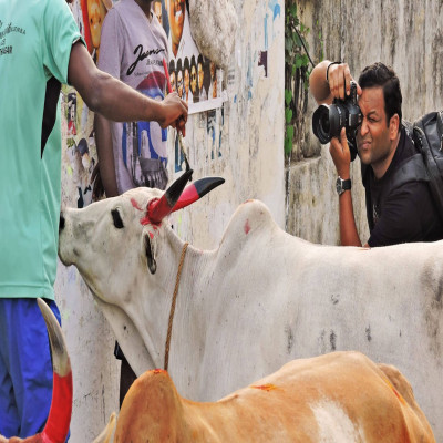 Pongal Tours